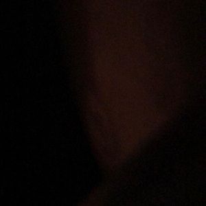 Meet your Posher, Canesha